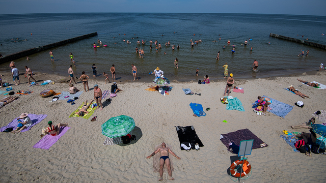 Аномальный прогрев Балтики до 23 °C: эксперт БФУ о новой климатической реальности региона