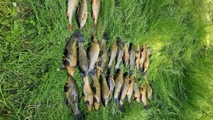 На Виштынце мужчина пришёл на озеро за рыбой, а вернулся без сетей и с перспективой уголовного дела