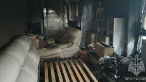На Емельянова вспыхнул пожар в квартире, из огня спасли двух человек
