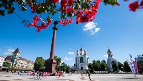 Готовы оплатить бензин отдыхающим: нынешний турсезон стал вызовом для калининградских отельеров и владельцев квартир
