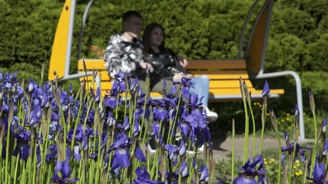 Отложи шопинг и не расставайся с любимым: приметы на 5 июля