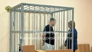 Водителя, сбившего насмерть трёхлетнего мальчика на окраине Калининграда, арестовали на 2 месяца