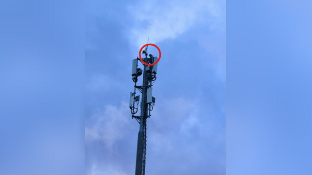 В Калининграде подросток залез на вышку ради куража на фоне зловещего заката (видео)
