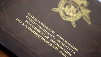 В Черняховске 17-летняя девушка открыла в себе криминальный талант и за неделю заработала на 10 лет лишения сводобы