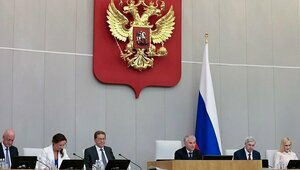 ЭКС: Врачи-мигранты устраивались в России без подтверждения квалификации — спикер Госдумы