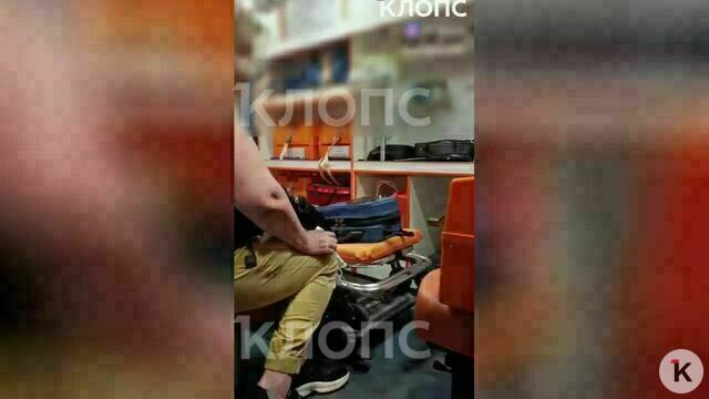 Подставили подножку — и полетели удары: на выгуливающую собак жительницу Зеленоградска напали на променаде (видео)  