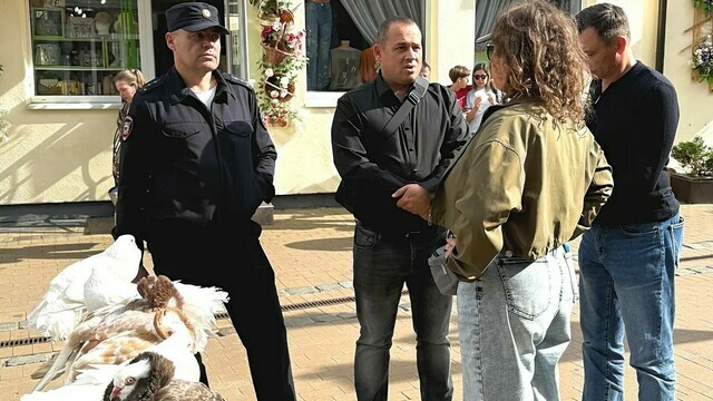 В Зеленоградске борются с нелегальными фотографами — нарушителей ждёт суд