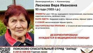 В Калининграде вторые сутки ищут пенсионерку с кардиостимулятором, родные и волонтёры сбились с ног   