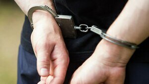Чистильщик бассейна обчистил особняк хозяев на сумму свыше 1 млн рублей  