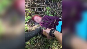 Лежала в канаве больше суток: в Калининграде нашли живой 93-летнюю пенсионерку, пропавшую три дня назад (фото, видео)  