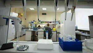Калининградские учёные придумали, как производить биодизель из микроводорослей