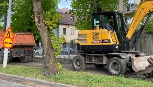 В Калининграде на проспекте Победы возобновили ремонт тротуара: жители опасаются за судьбу деревьев (фото)   