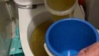 Из-за коммунальной аварии калининградке пришлось черпать вонючую воду из унитаза и выливать в окно пятиэтажки (видео)  