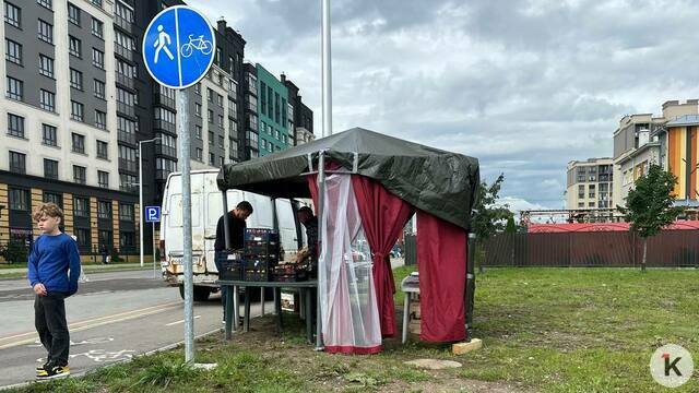 «Недавно сделали велодорожку — теперь там палатка»: калининградка пожаловалась на торговлю в районе Артиллерийской