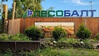 Феникс «Лесобалта»: история возрождения флагмана деревообработки под руководством Данишевского