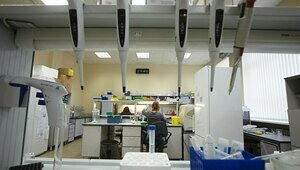 Россельхознадзор повернул армянские молочные реки вспять