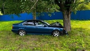 На трассе на Балтийск женщина за рулём BMW решила пойти на обгон, но врезалась в придорожное дерево  