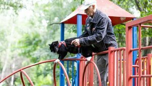 Васенькин променад, или что может знаменитый кот с улицы Багратиона (фоторепортаж)  