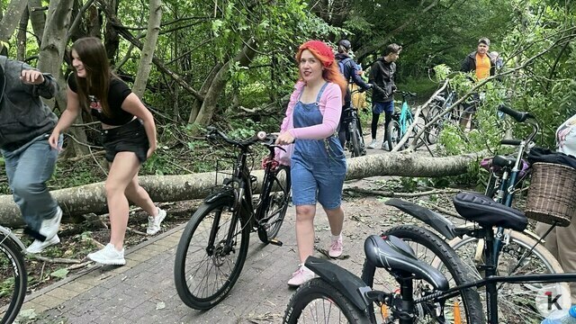 Построенная, но не открытая велодорожка у Янтарного начала зарастать травой (фото)