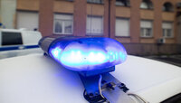Под Полесском лишённый прав водитель Audi врезался в дерево и погиб (видео)