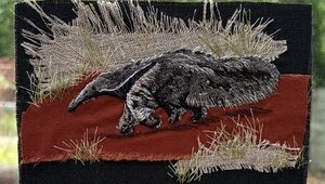 Из Калининградского зоопарка утащили вышитую картину с муравьедом (фото)  