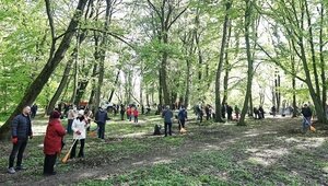 В августе начнут готовить ещё одну прогулочную зону в центре Калининграда