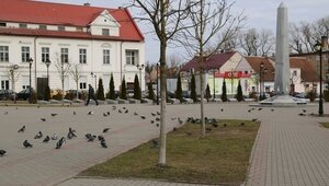 В Гвардейске собака укусила семилетнюю девочку за лицо, с владельца пса требуют 150 тысяч рублей 