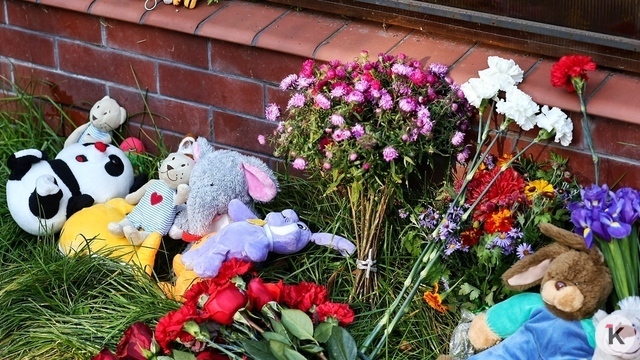 Правительство Калининградской области обеспокоено из-за роста смертности в ДТП