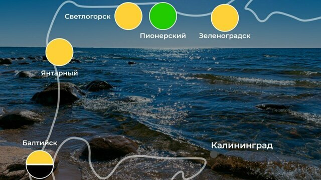 На одном из пляжей в море лучше не заходить: ситуация на калининградском побережье 9 августа