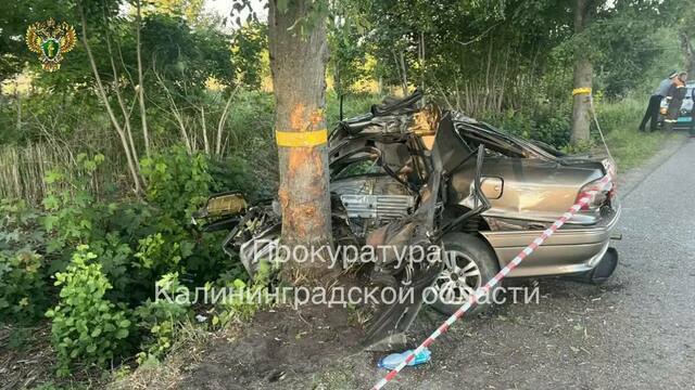 Перед смертельным ДТП под Зеленоградском водитель пошёл на обгон — прокуратура