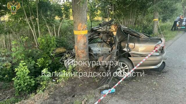 Супруги родились в один день и погибли вместе: что известно о страшной аварии с Mitsubishi в Черепаново