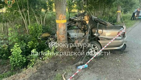 Гибель трёх молодых людей в ДТП и огромные пробки на Приморском кольце: 8 событий, которые обсуждали в выходные  
