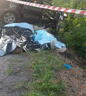 На трассе Логвино — Черепаново машина врезалась в дерево: от удара её разорвало пополам, погибли как минимум трое (фото)