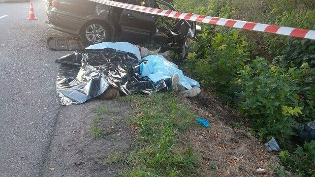 На трассе Логвино — Черепаново машина врезалась в дерево: от удара её разорвало пополам, погибли как минимум трое (фото)
