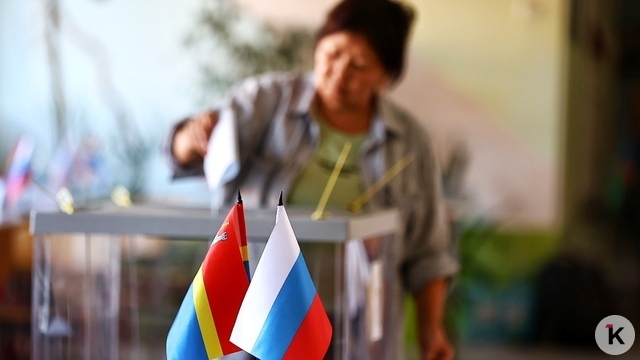 Винярская объяснила, что ждёт «Яблоко» на выборах в Калининградской области