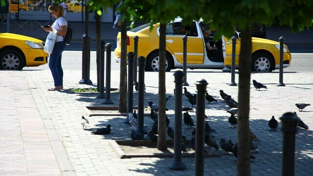 Лето снова берёт паузу: Калининградскую область ждёт сырая и прохладная неделя
