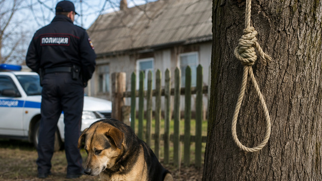 В Правдинском округе возбудили дело после гибели собаки