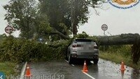 Пострадал пассажир: в Гурьевском районе на машину упало дерево