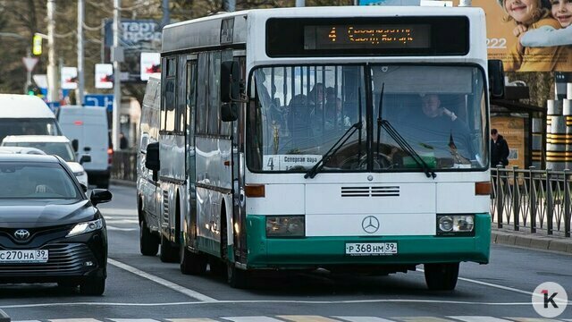 В Калининграде запустят новый автобусный маршрут, а два прежних отменят