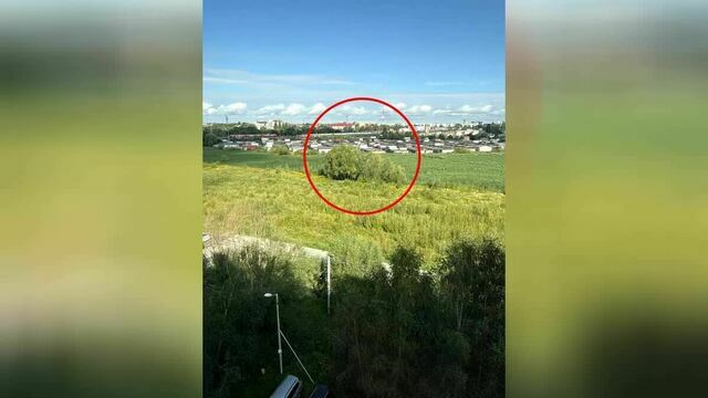 Попрощался с другом и пошёл в сторону дома: в кустах на окраине Калининграда обнаружили тело 25-летнего парня   