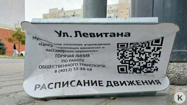 «Уезжает только треть»: жители нового района Калининграда пожаловались на опоздание детей в школу из-за отсутствия автобусов (фото, видео)