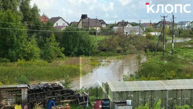 Ливни превратили дорогу в русло: в Яблоневке вода топит поля и участки (фото, видео)