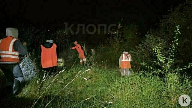 Под Калининградом жители приняли волонтёров за закладчиков и вызвали полицию: как искали 16-летнего подростка (видео)  