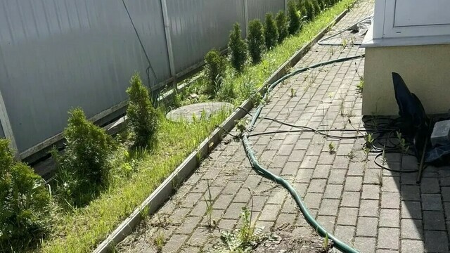 В Калининграде хозяйке участка в 8 соток запретили выезжать из страны, чтобы она навела порядок и посадила газоны