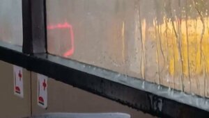Дождь 9 баллов: в Калининграде пассажиры автобуса всю поездку принимали водные процедуры