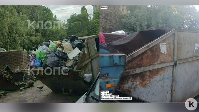 В ЕСОО изучили фото мусорных гор на Минской и прислали свои: оператор уверяет, что отходы вывозили каждый день   