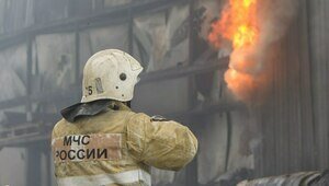 Мощные столбы пламени: в калининградском СНТ «Золотой петушок» выгорели баня и подсобка одного из домов (видео)