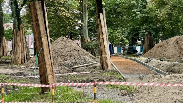 Амфитеатр, качели и велодорожка: каким станет Каштановый парк в Калининграде