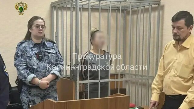Суд арестовал калининградку, обвиняемую в смертельном ДТП на Советском проспекте