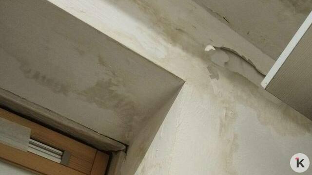 «Крыши могут рухнуть»: жители ЖК под Калининградом годами борются с протечками и пытаются ускорить капремонт (видео) 